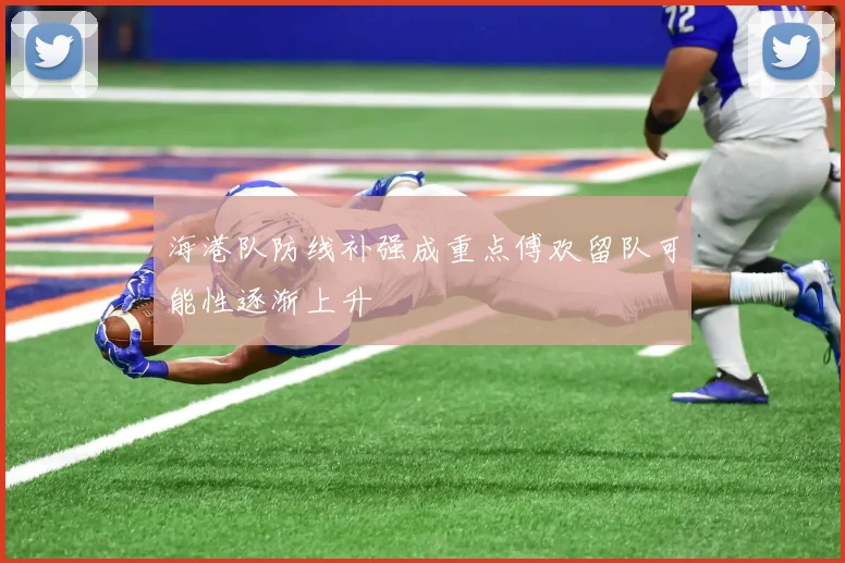 海港队防线补强成重点傅欢留队可能性逐渐上升