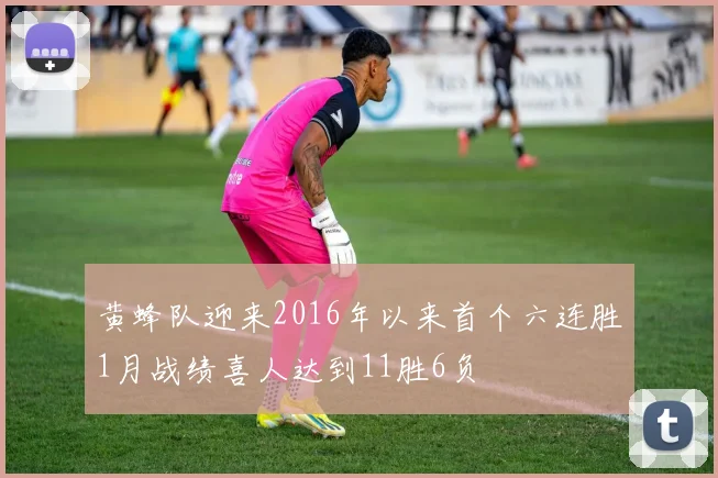 黄蜂队迎来2016年以来首个六连胜1月战绩喜人达到11胜6负